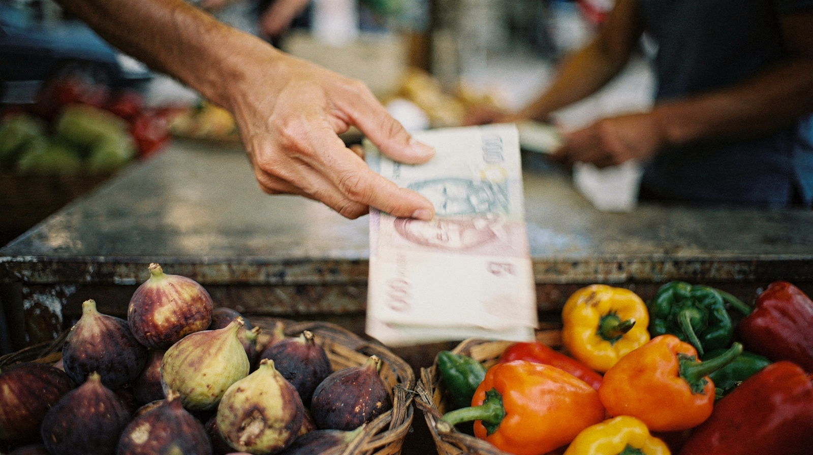 Money and Payments in Bosnia-Herzegovina: The Convertible Mark Explained
