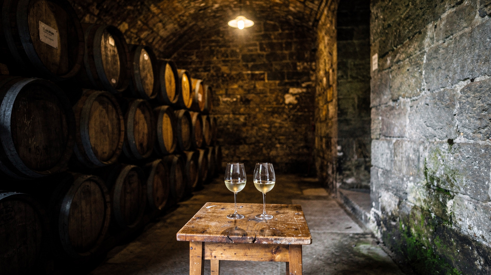 Žilavka and Blatina: Herzegovina's Native Wine Grapes