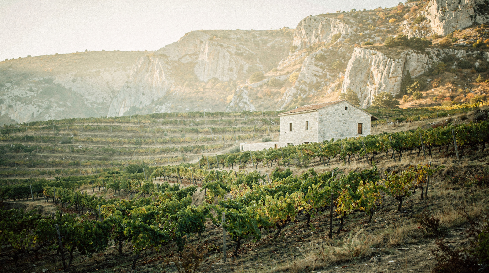A Wine and Food Itinerary Through Herzegovina